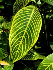L1020112