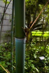 L1020200