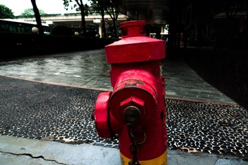 L1180895
