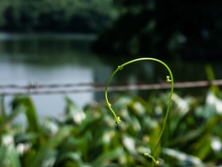 L1030799