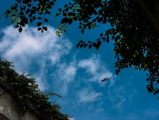 L1030802