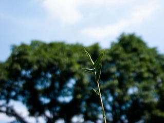 L1030828