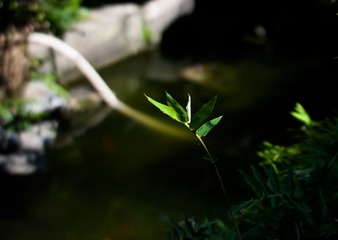 L1030829