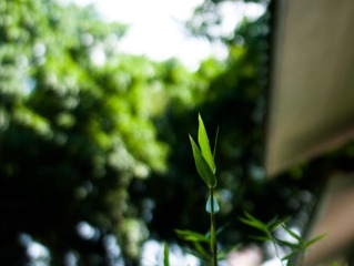 L1030830