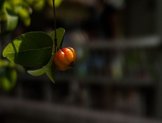 L1030832