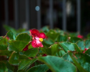 L1070255