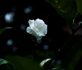 L1070266