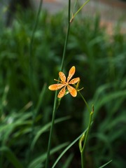 L1070332