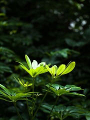 L1070274