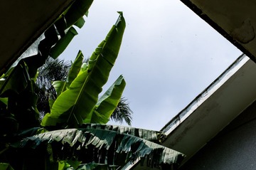 L1005648