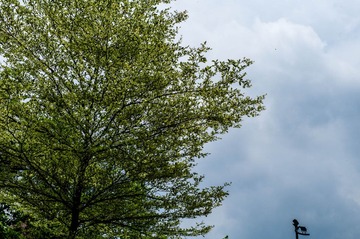 L1005699