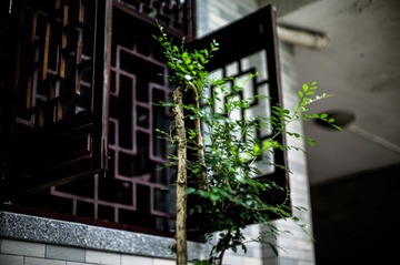 L1005852