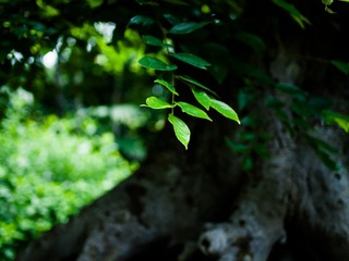L1070453