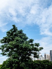 L1070501