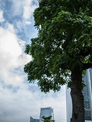 L1070588