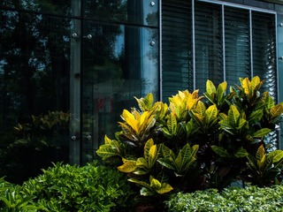 L1070592