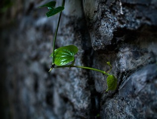 L1070750