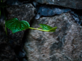 L1070755