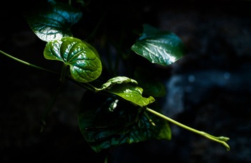 L1070756