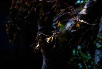 L1070764