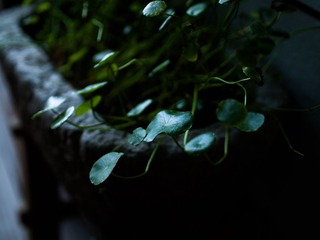 L1070805