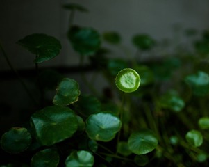 L1070808