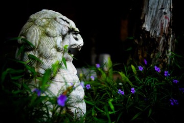L1000414