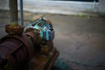 L1000424