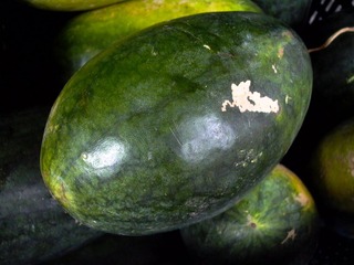L1020590