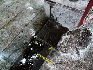 L1190563