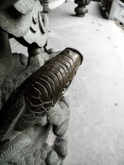 L1190548