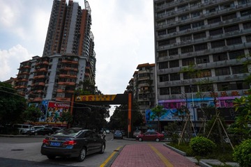 _DSF1570