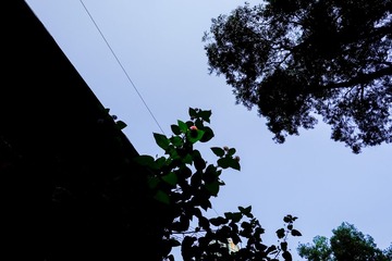 _DSF1961