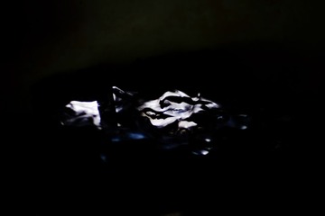 _DSF2725