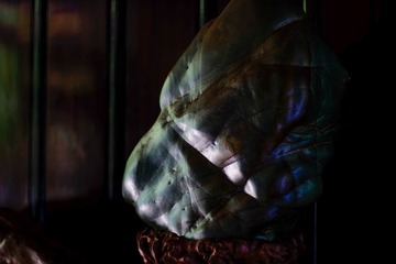 _DSF2737