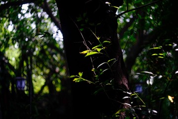 _DSF2977