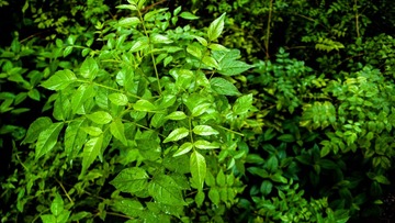 L1120535