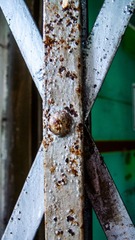 L1120548