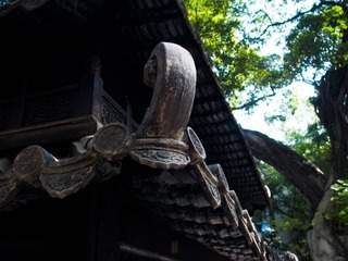 L1000318
