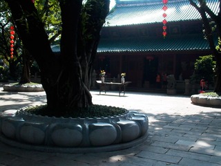 L1000358