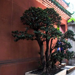 L1000382