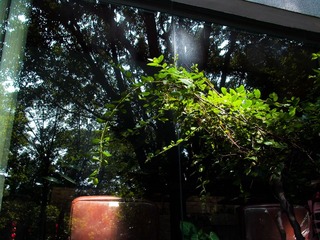 L1000388