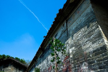 _DSF3636
