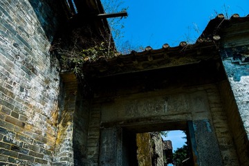 _DSF3649