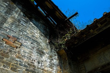 _DSF3651