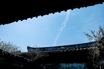 _DSF3669