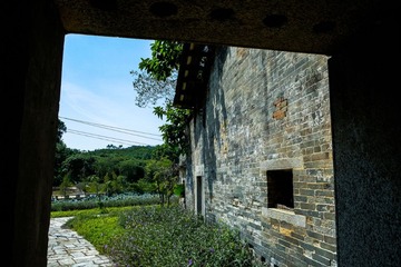 _DSF3673