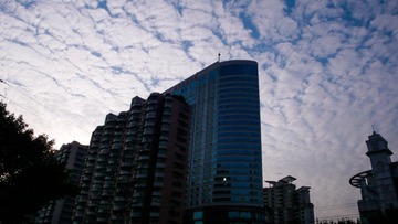 L1120602