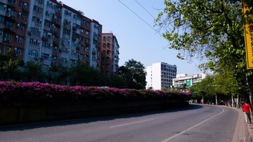 L1120645
