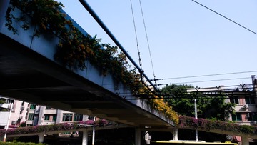 L1120677